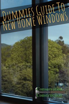 a window with the words dummies guide to new home windows