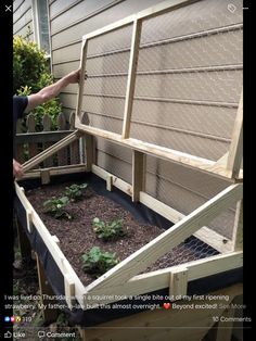 Raised Vegetable Gardens, Diy Garden Bed, Small Kitchen Ideas, Diy Raised Garden, Remodel Kitchen, Greenhouse Gardening