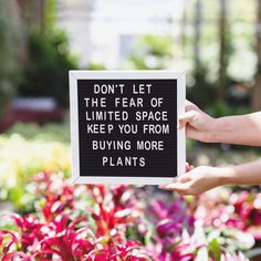 a sign that says don't let the fear of limited space keep you from buying more plants