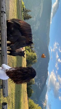 two horses standing next to each other on a field