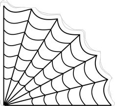 a spider web on a white background