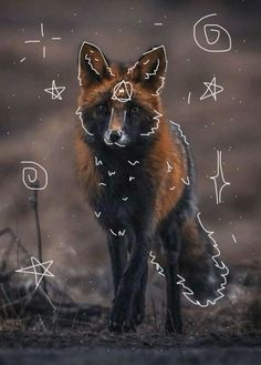 a red fox standing on top of a dirt field next to stars and zodiac symbols