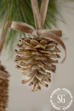 a pine cone ornament hanging from a christmas tree with ribbon on it's end