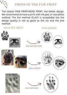 the paw print process is shown with instructions for how to make it look like an animal