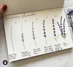 a hand is holding a piece of paper with different flowers on it and the words how to paint lavender written in cursive writing