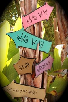 several wooden signs are attached to a tree