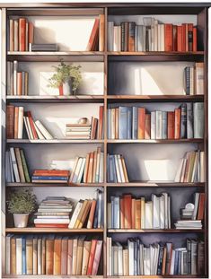 a book shelf filled with lots of books and a potted plant on top of it