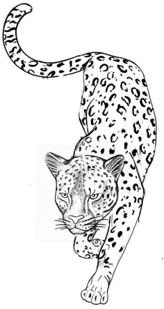 a black and white drawing of a cheetah walking on its hind legs with the tail