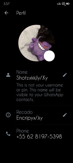 the text on the phone says, name shotzkily / ky this is not your username or pin