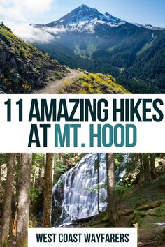 the cover of 11 amazing hikes at mt hood, west coast wayfares