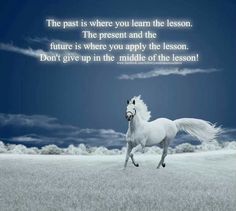 a white horse running across a field under a blue sky with the words, the past is where you learn the lesson