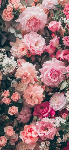 pink and white flowers with green leaves in the background