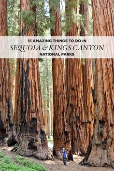 two people walking through the woods with trees in the background and text overlay that reads 15 amazing things to do in sequa & kings canyon national parks