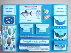 an ocean themed bulletin board with fish and marine life on it's sides, labeled in russian