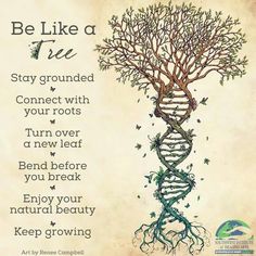 a poster with a tree on it that says, be like a tree stay grounded connect with your roots turn over and bend before you break