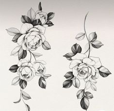 black and white drawing of flowers with leaves on the bottom right side, in two different angles