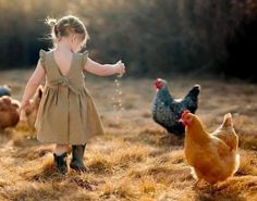 Chicken Photoshoot, Photographer Ideas, Children Painting, Drawing Kids, Chicken Pictures, Outdoor Pictures, Country Kids, Baby Fits, Maybe Someday