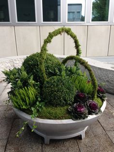 a potted plant with moss and flowers in it on the ground next to a building