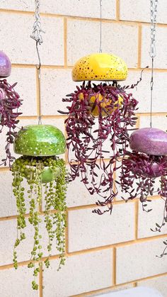 three jellyfish shaped plants hanging from hooks on a brick wall next to a white toilet