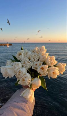 a bouquet of white flowers is held by someone's hand in front of the ocean