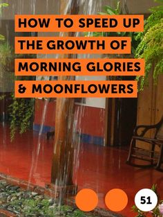 a wooden bench sitting under a tree next to a rain shower with the words how to grow okra in a container