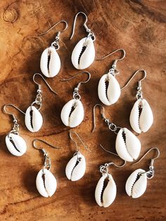 six white seashell earrings on a wooden table