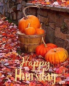 a basket full of pumpkins sitting next to a brick wall