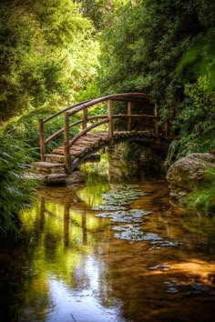 a wooden bridge over a body of water surrounded by lush green trees and greenery