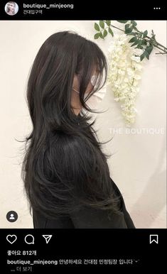 Long Hush Haircut, Hush Cut Hair Long, Korean Hush Haircut, Hush Cut With Bangs, Korean Hush Cut, Korean Long Hairstyle, Hush Haircut, Curtain Bags, Hush Cut