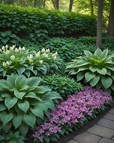 many different types of flowers in a garden