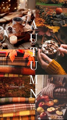 autumn collage with pumpkins, leaves and other things