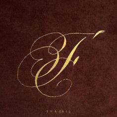 the logo for shasaii is shown in gold on a brown background with white lettering