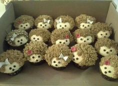 a box filled with cupcakes decorated like hedgehogs