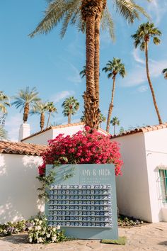 a palm tree next to a building with a calendar on it