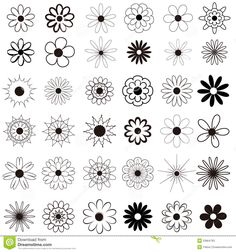 black and white flower designs on a white background stock photo - image 349784