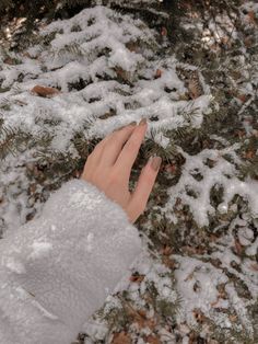 a person's hand reaching for something on the ground covered in snow and pine needles