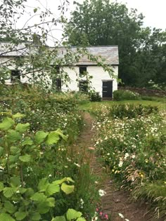 an old house is surrounded by wildflowers and other greenery in the foreground