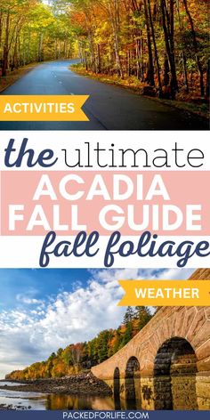 the ultimate guide to fall foliage and weather