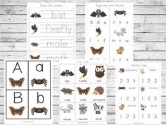 printable worksheets for beginning and ending the letter b with pictures of animals