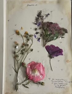 three different types of flowers on a piece of paper