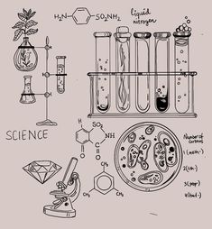 hand drawn illustration of science equipment