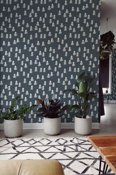 three potted plants sit in front of a wallpapered living room with an area rug