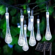 there are many lights that are hanging from the wires in front of some plants and trees