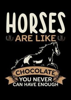 horses are like chocolate you never can have enough