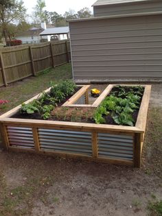 a raised garden bed with plants growing in it