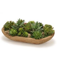 a wooden tray filled with lots of green plants