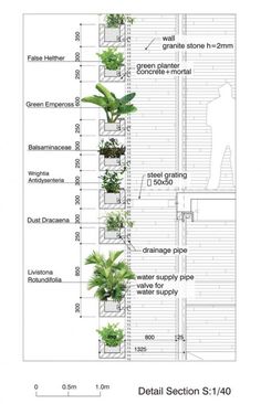 the diagram shows different types of plants growing in pots on the side of a building