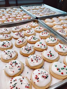 cookies with white icing and sprinkles are lined up on trays