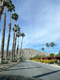 palm trees line the street in front of mountains