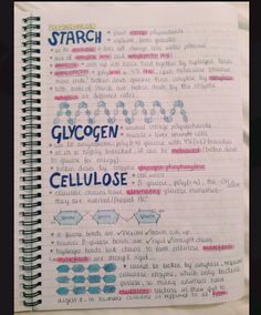 a spiral notebook with the words starch and glycogen written on it